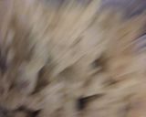 Foto del paso 4 de la receta: Galletas de mantequilla tipo alfajor