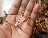 A picture of step 1 of Yanda ake soya fara.