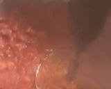 गाज़र का हलवा (कुकर वाला) / cooker wala gajar halwa recipe in hindi) रेसिपी चरण 3 फोटो