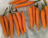 Foto del paso 10 de la receta: Albóndigas y butifarra con chipirones, patatas y zanahorias baby
