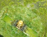A picture of step 2 of Palak Paneer.