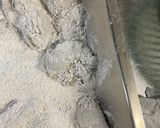 炸蚵仔酥的食譜步驟2照片