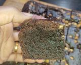 A picture of step 9 of Chocolate Chip Brownie.