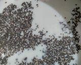 ચિયા સિડ્સ કોકો મિલ્કશેક (Chia Seeds Coco Milkshake Recipe In Gujarati) રેસીપી સ્ટેપ1ફોટો
