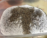 Foto del paso 1 de la receta: Pan integral con semillas