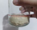 Foto langkah ke 1 dari resep Fancy Japanese Milk Bread (Sourdough).