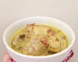 Foto langkah ke 6 dari resep Opor ayam #debm.