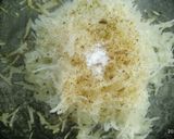 A picture of step 2 of Potato cheese Omelette.
