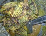 A picture of step 13 of Stuffed masala karela / bittergourd.