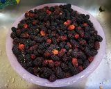 桑葚原汁的食譜步驟1照片