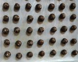 Foto langkah ke 6 dari resep Kue Kismis Coklat.