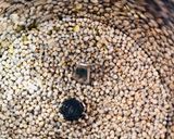 A picture of step 1 of Bhedku (Traditional KUTCHI recipe).
