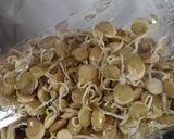 Foto del paso 2 de la receta: Brotes de lentejas 🌱 💚