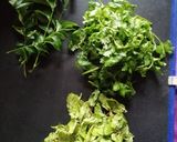 A picture of step 1 of Green chutney.