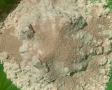 A picture of step 1 of Gurasa.