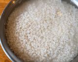 A picture of step 1 of Mochi.