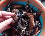 Foto langkah ke 1 dari resep Burung Emprit Goreng.