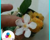 Foto langkah ke 1 dari resep Pom Pom Potatoes.