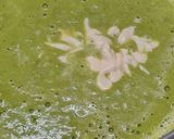 Foto del paso 11 de la receta: 190. Crema fría de guisantes al limón