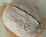 Foto langkah ke 12 dari resep Spekuk Craisin Sourdough Bread.