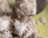 Foto langkah ke 3 dari resep Getuk Talas Kenari - Cemilan Bernutrisi.