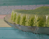 Foto langkah ke 5 dari resep Puding Lumut Creamy.