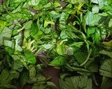 عکس مرحله 1 از دستور املت ریحان🍃