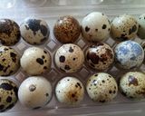 A picture of step 1 of Fluffy's Easter Egg basket.