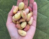 عکس مرحله 1 از دستور خلال پسته