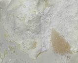 Foto langkah ke 2 dari resep Roti Sobek Kukus Srikaya.