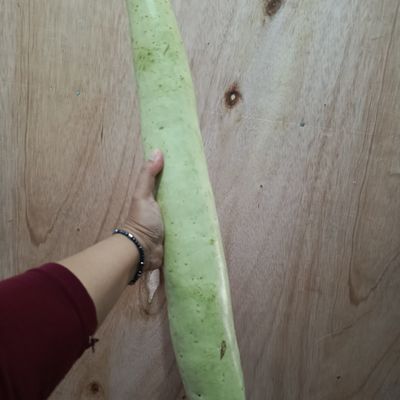 Langkah 1