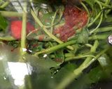 Foto langkah ke 3 dari resep Cah Kangkung Terasi.