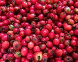 A picture of step 1 of Hawthorn Syrup.