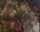 عکس مرحله 3 از دستور شربت ریحان سبز و گل محمدی🌱🌺