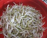 Foto langkah ke 1 dari resep Tumis toge ikan asin rebus.