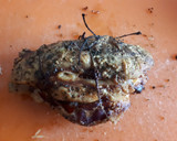 Foto del paso 3 de la receta: Pechugas de pollo rellenas con cobertura de besamel