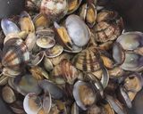 Foto del passaggio 5 della ricetta Pici al pesto di pistacchi, con vongole veraci e profumo di limone