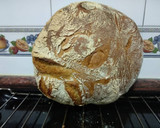 Foto del paso 8 de la receta: Pan de trigo, Bolo de trigo (Bollo de trigo)