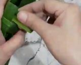 Foto langkah ke 4 dari resep Takir Daun Pandan.