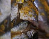 Foto langkah ke 1 dari resep Mujaer Bumbu Kuning.