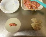 A picture of step 2 of Small Gyoza Dumpling with Yui’s Nam Pla Plick.