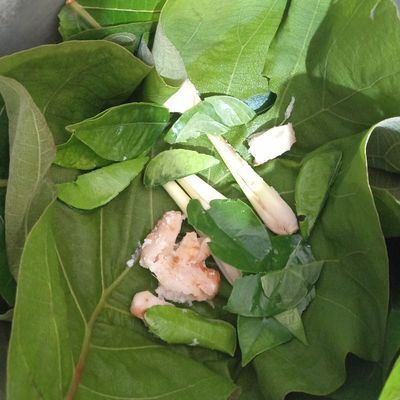 Langkah 2