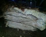 Foto del paso 4 de la receta: Vacío a la parrilla(con verdeo)
