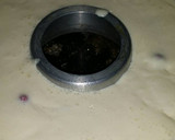 Foto del paso 7 de la receta: Gelatina de yogur y queso bañada de frutos