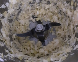 Foto del paso 1 de la receta: Crema de lechuga en Tm31