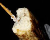 A picture of step 4 of Chicken kebab2.