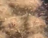 Foto langkah ke 3 dari resep Bola-bola Ayam Udang Rambutan.