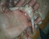 Foto del paso 9 de la receta: Pollo deshuesado
