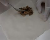 Foto langkah ke 4 dari resep Spring Roll Ayam Jamur.