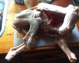 Foto del paso 1 de la receta: Cabrito al vino y ajo